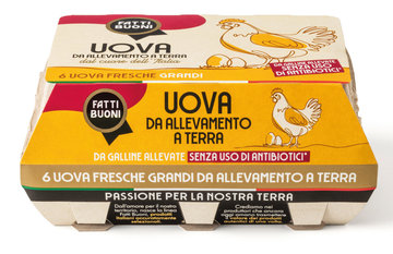 Fatti Buoni uova 6 pezzi allevate a terra